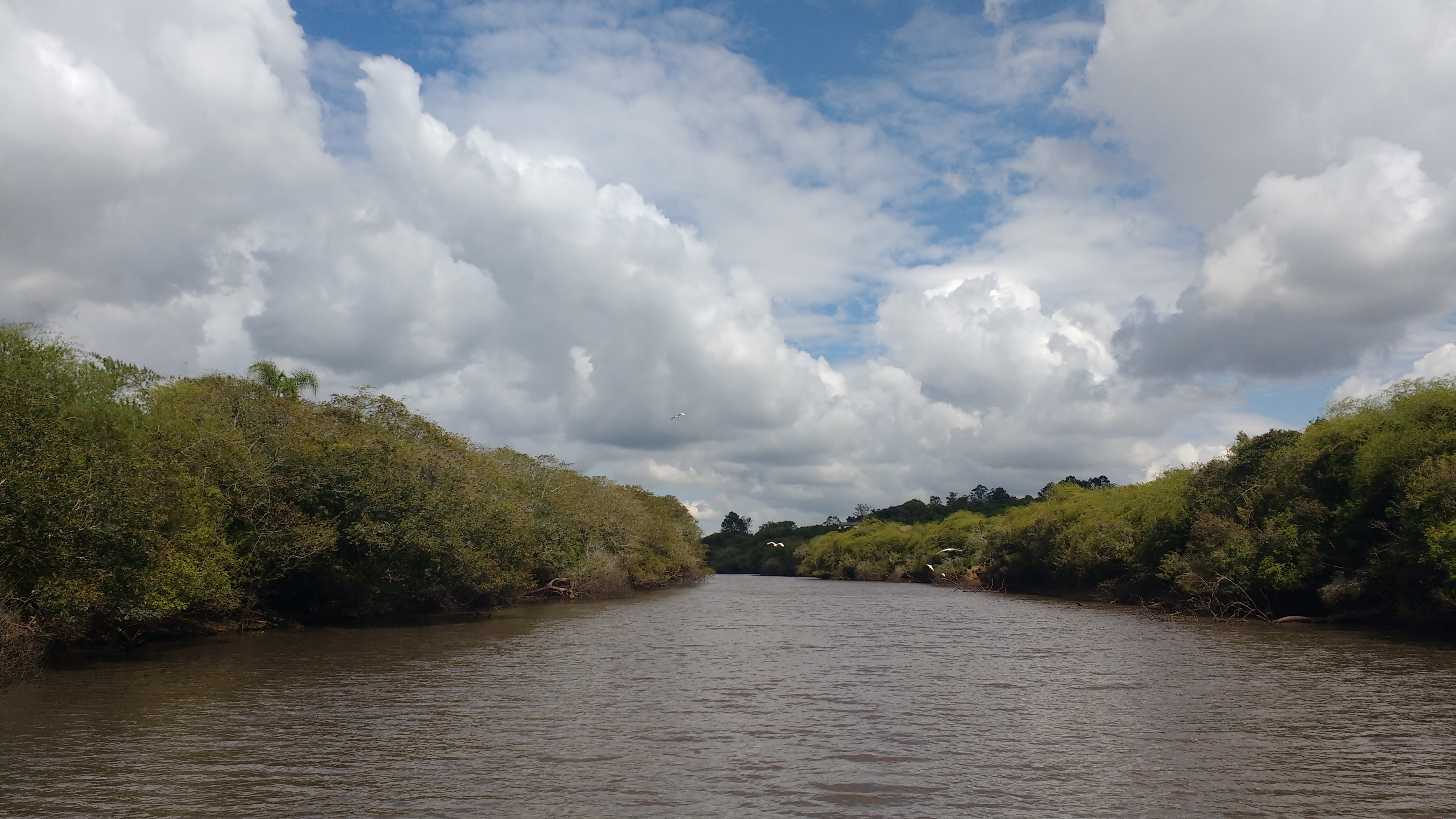 rio gravatai 2016 projeto rio limpo rs apnvg