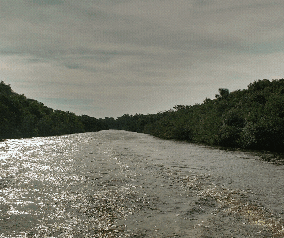 Novo endereço do Comitê Gravatahy: www.riogravatai.com.br