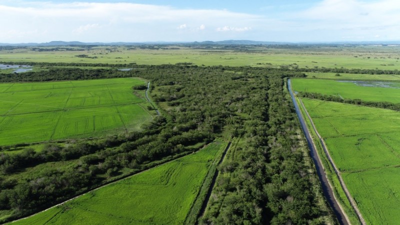 vistaarea rio gravatai